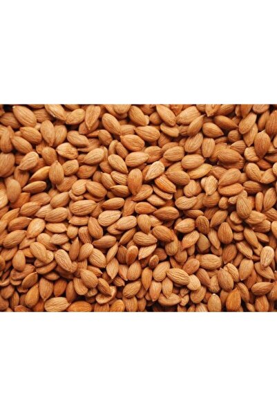 Propatis Magro Magro Tuzlu Kavrulmuş Kayısı Bademi (kayısı Çekirdek ) 1kg (GÜNKURUSU)