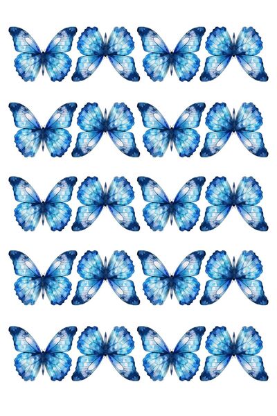 MEDUSAART Kelebek Buketi İçin Parlak Kalın 230gr Fotoğraf Kağıdı