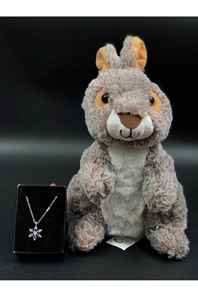 Masalsı Concept 14 Şubat Sevgililer Günü Özel Hediye Seti Peluş Sincap Zarif Lotus Kolye Sevgiliye Hediye