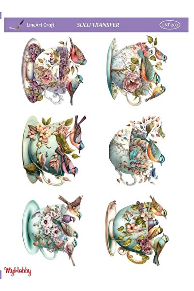 LİNEART Lineart Sulu Transfer LNT200 25x35cm