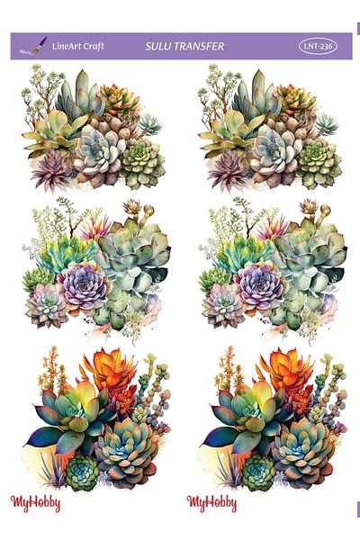 LİNEART Lineart Water Transfer LNT236 25x35cm