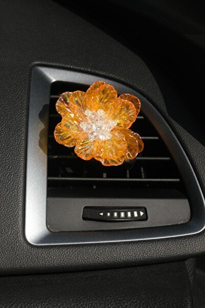 TASARIM ARABAM ATİKE ELİF AKIN زهرة برتقالية مذهبة