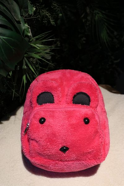 BORNAY 0 - 6 Years Old Kindergarten Nursery Children's School / Backpack Plush