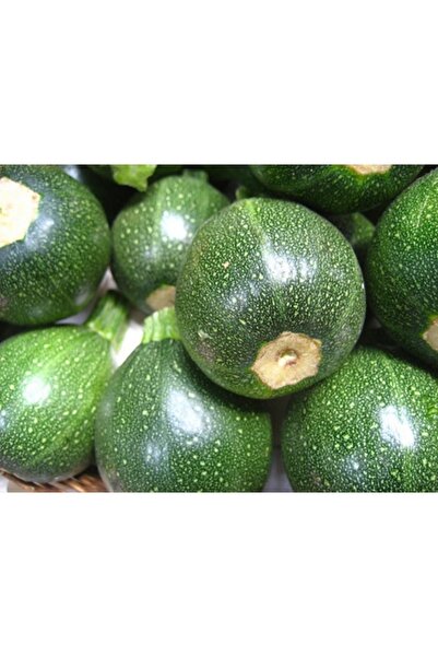 Köy Tohumları 15 Adet Tohum Süper Paket Dolmalık Nadir Topak Kabak Tohumu Yuv...