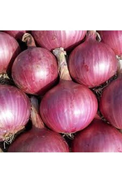 Köy Tohumları 30 Adet Tohum Yerli Mor Soğan Tohumu Ata Tohum Kırmızı Soğan To...