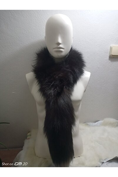 hoaryage Lup cu coada Kipchak ETOL SCARF