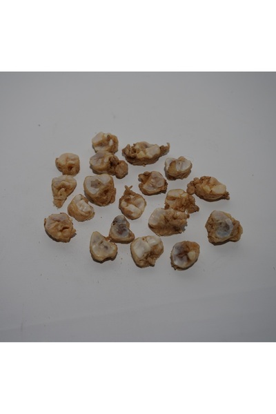 PETAKSAPET Kuzu Ayak Cips %100 Doğal Köpek Ödül Maması 50 Adet