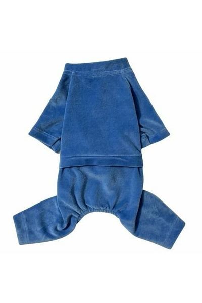 GedyCo Blue Velvet Small Breed Dog Jumpsuit