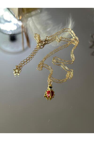 Uno Di Famiglia Uğur böceği kolye , Figürlü kolye , Hediyelik takı , Doğa temalı kolye 1. KALİTE