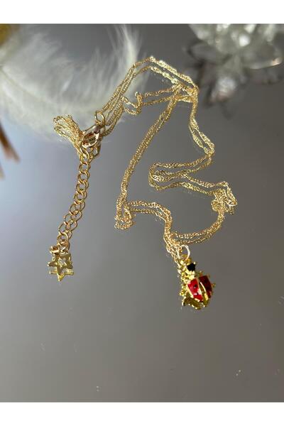 Uno Di Famiglia Ladybug Necklace, Figured Necklace, Gift Jewelry, Nature Themed Necklace 1stQUALITY