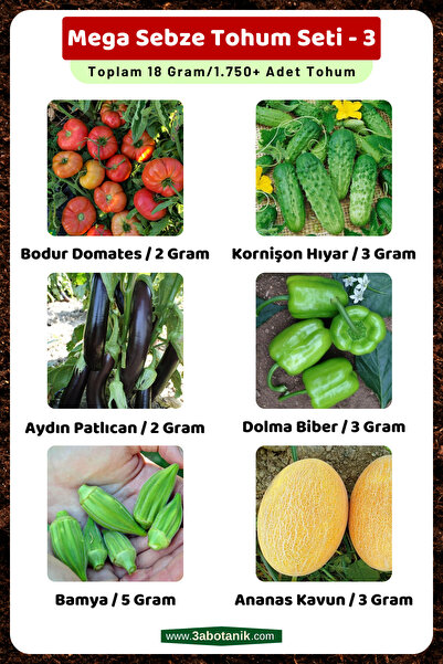 Mega Vegetable Seed Set - 3, Total 18 Grams/1.750 Vegetable Seeds