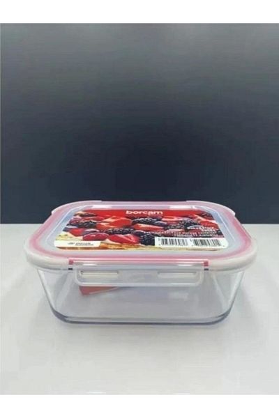 Viyalente Borcam 3350 Cc Oven and Storage Container