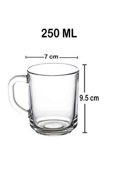Paşabahçe 55029 Pub Glass Set of 6 250 Ml Cups with Handles
