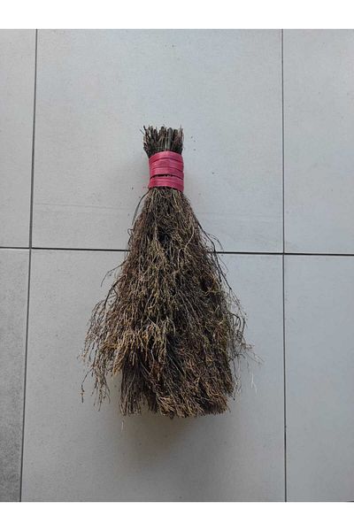 Beyaz Atölyem Bush Vacuum Cleaner