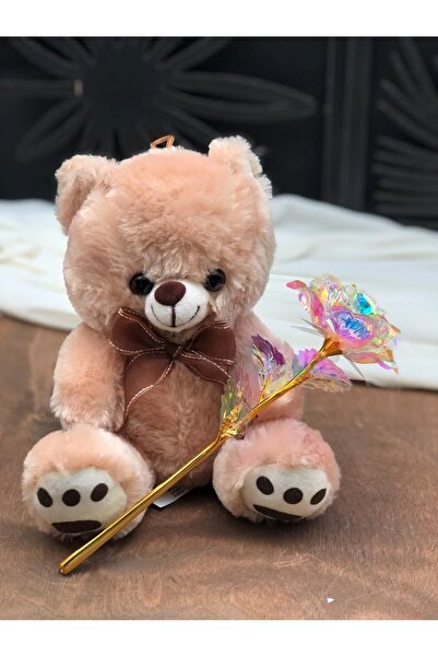 Masalsı Concept 14 Şubat Sevgililer Günü Hediyesi Sevgiliye Eşe Arkadaşa Anne...