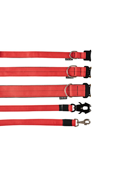 AlphaTact 2,5cm taktik boyun tasması