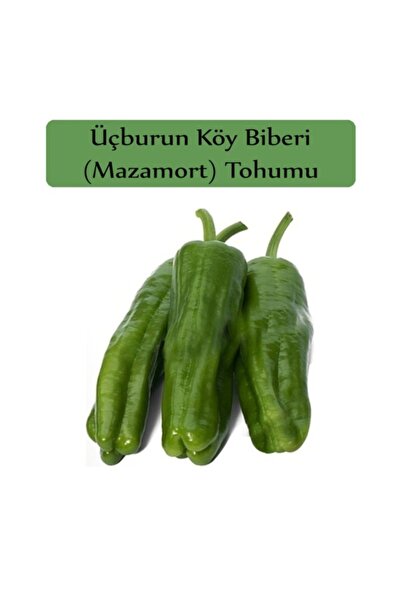 Köy Tohumları 100 Adet Tohum Acı Üç Burun Bahçe Biberi Biber Tohumu Hediye To...