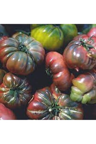 Köy Tohumları 100 Adet Tohum Nadir Varlon Alacalı Köy İri Domates Tohumu Orga...