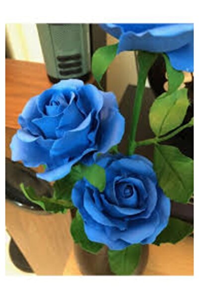 Köy Tohumları 10 Adet Tohum Nadir Mavi Kadife Gül Tohumu Mavi Osmanlı Saray G...