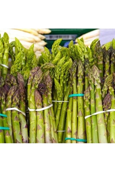 Köy Tohumları 50 Adet Tohum Nadir Organik Kuşkonmaz Tohumu Hobi Bahçe Saksı T...