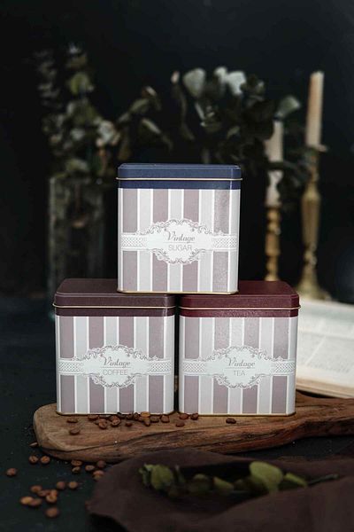 EVLE Erb36V5 Rectangular Storage Container 8 X 12 X 12 Cm, Set of 3, Elegance