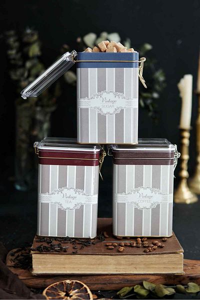 EVLE Erb21v5 Rectangular Lockable Storage Container 75x100x150 Set of 3, Elegance