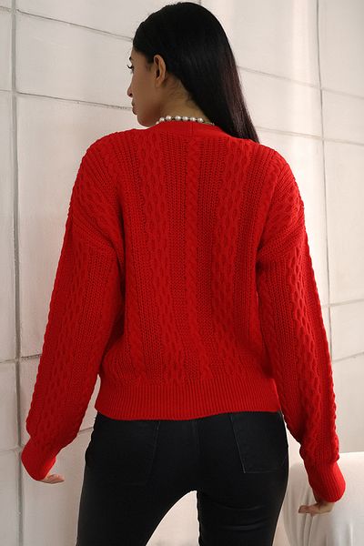 ALCHON V-neck Long Sleeve Hair Braided Four Button Standard Size Winter Knitwear Cardigan