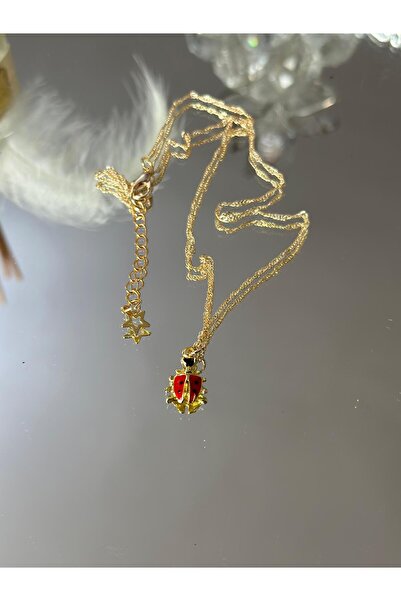 Uno Di Famiglia Ladybug Necklace, Figured Necklace, Gift Jewelry, Nature Themed Necklace 1stQUALITY