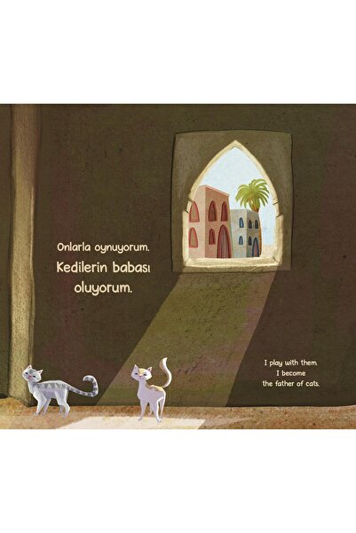 Multibem Yayınları KEDİ BABASI