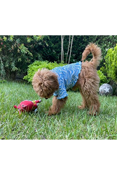 GedyCo MAVİ BATİK KOLLU KÖPEK TİŞÖRTÜ SWEATSHIRT