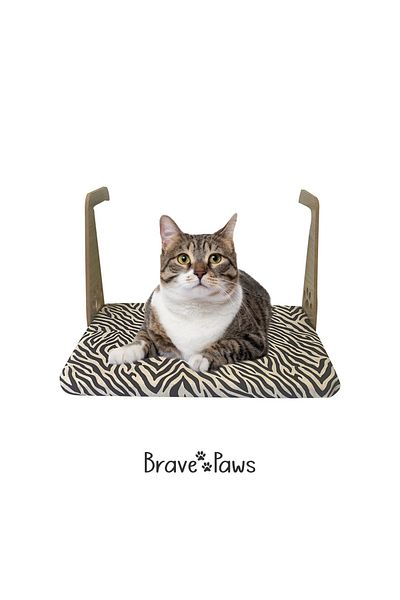 BRAVE PAWS سرير مشعاع لتدفئة القطط على شكل قرص العسل (29*45 سم)