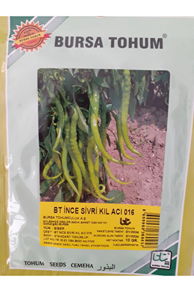 Bursa Tohumculuk BURSA TOHUM KIL ACI BİBER