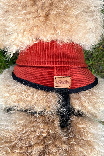 Globodepo Kadife Gömlek Yakalı Köpek Göğüs Gövde Tasması