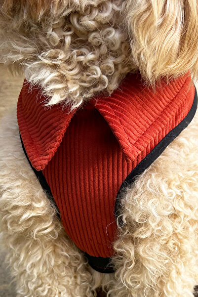 Globodepo Kadife Gömlek Yakalı Köpek Göğüs Gövde Tasması