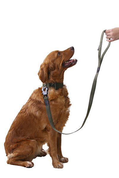 AlphaTact Multi Taktik Eğitim Gezdirme Tasması