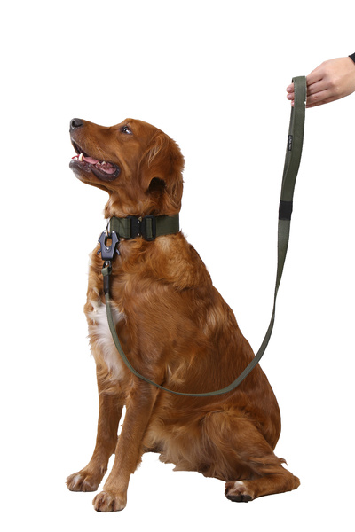 AlphaTact Multi Taktik Eğitim Gezdirme Tasması