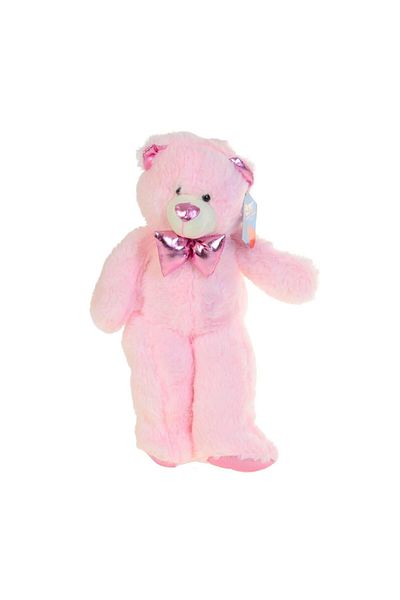hak-iş oyuncak Plush Bear 50 Cm