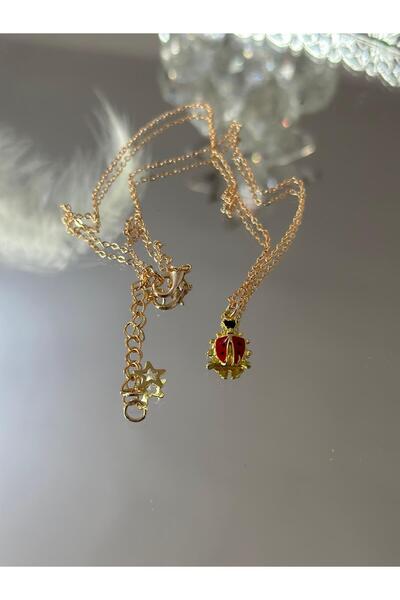 Uno Di Famiglia Uğur böceği kolye , Figürlü kolye , Hediyelik takı , Doğa temalı kolye 1. KALİTE