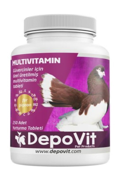DEPOVİT Depovit Enerji ,Vitamin Desteği Multivitamin Tablet 250li