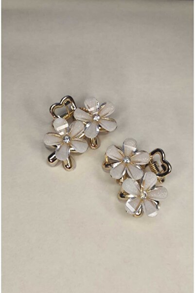 JHTshop Accessories 2-Piece Crystal Flower Peg Hair Clip