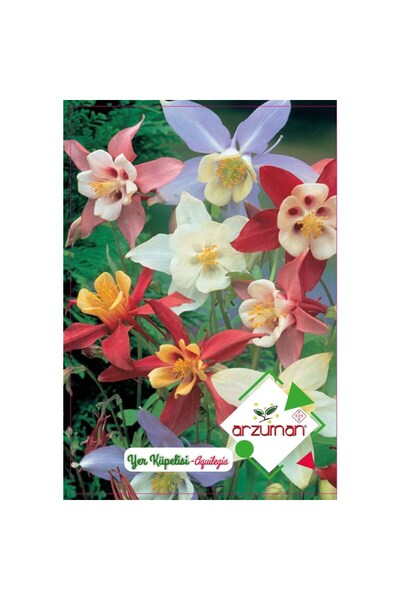 Arzuman Yer Küpelisi Çiçek Tohumu (30 ADET)-haseki Küpesi