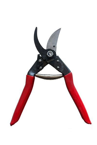 Murcell Aksesuar Pruning Shear