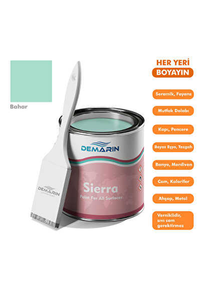 Demarin Her Şeyi Boyayan Sierra Tek Bileşen Fayans, Tezgah, Seramik, Mobilya,...
