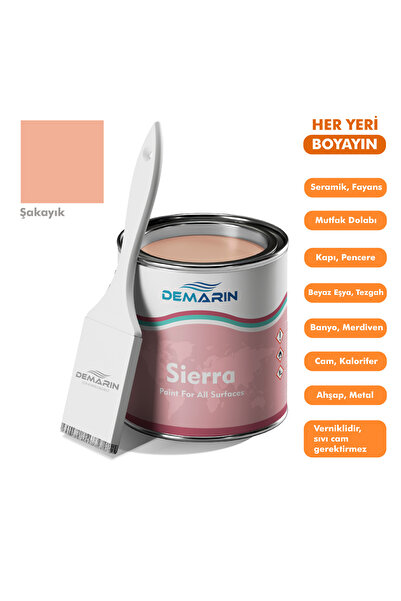 Demarin Sierra Tek Bileşen Fayans, Tezgah, Seramik, Mobilya, Zemin Boyası 1 K...