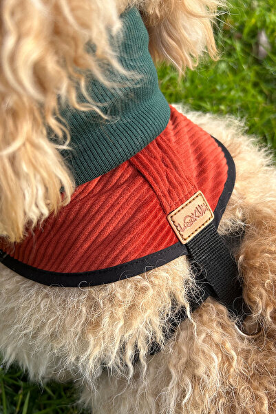 Globodepo Kadife Triko Boğazlı Köpek Göğüs Gövde Tasması