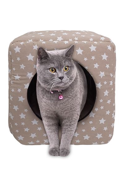 Patiderm Three Function Cat Dog Closed Square Sponge Bed - Beige