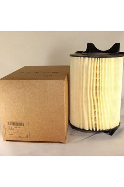 OEM Volkswagen Beetle 1.2 TSI Air Filter - 1F0129620