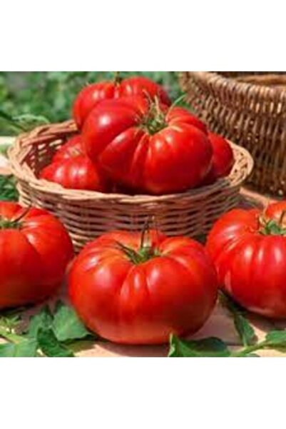 Köy Tohumları 25 Adet Tohum Nadir Organik Essah Yerli Organik Köy Domatesi To...