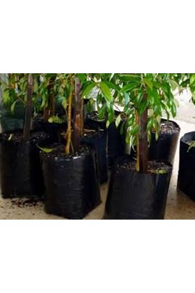 MERT AMBALAJ 20*30 Seedling and Sapling bag perforated 100 pieces