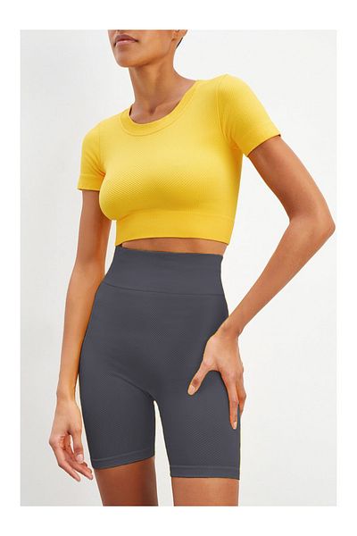 MİSTİRİK Gray Ribbed Knitted Recovery Seamless Sports Shorts